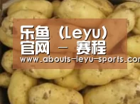 产品展示标题6