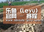 种植基地八