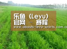 种植基地四
