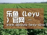 种植基地五