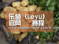 产品展示标题4