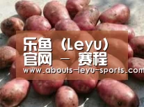 产品展示标题5