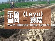 种植基地七(图1)