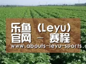 种植基地五(图1)