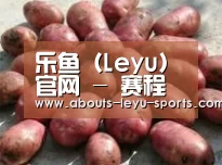 产品展示标题5(图1)