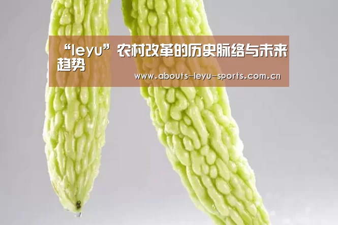 “leyu”农村改革的历史脉络与未来趋势(图1) 乐鱼