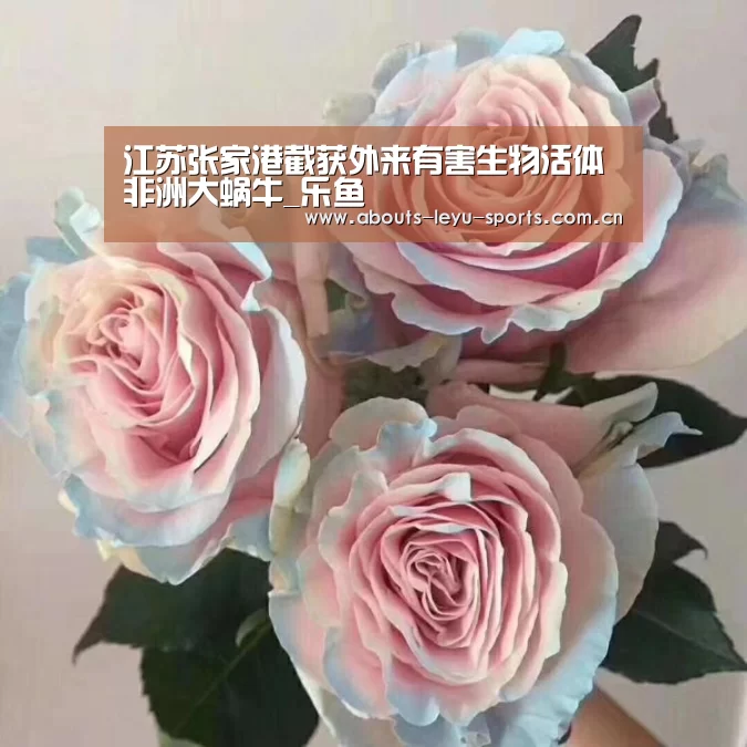 江苏张家港截获外来有害生物活体非洲大蜗牛_乐鱼(图3) 江苏张家港截获外来有害生物活体非洲大蜗牛_乐鱼(图3)