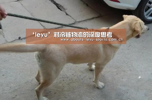 ‘leyu’对冷链物流的深度思考(图1) 乐鱼